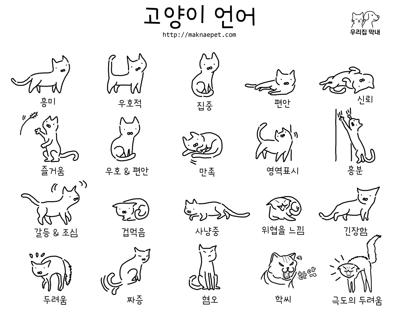 고양이의 언어 이해 기본은 귀, 눈, 꼬리, 털, 수염, 소리를 통해 보내는 카밍 시그널을 이해하는 것이다.