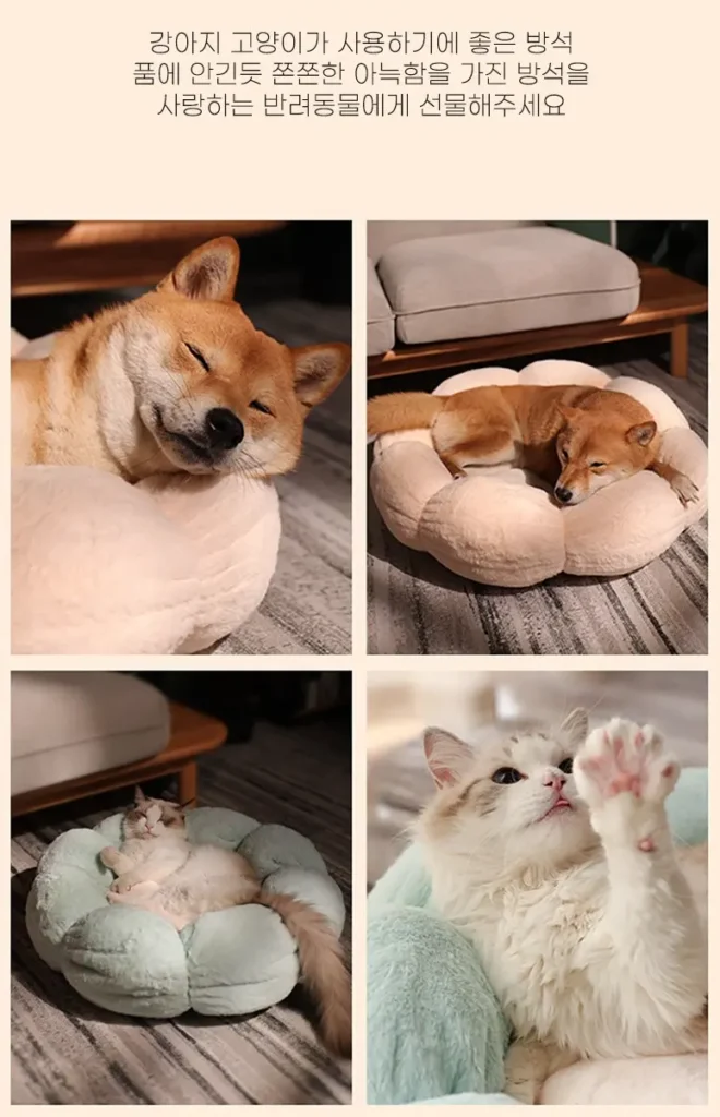 딩동펫 방석은 부드럽고 편안한 쿠션감으로 고양이에게 포근한 휴식처를 제공한다.