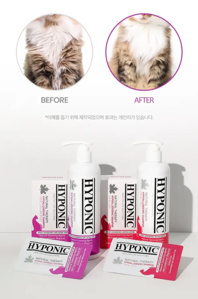 하이포닉 샴푸는 자극이 적고 향이 없어 모든 고양이에게 적합하다.